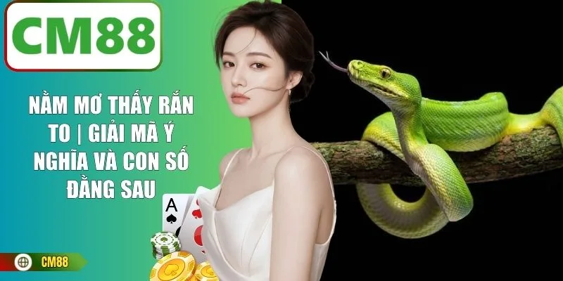 Nằm Mơ Thấy Rắn To | Giải Mã Ý Nghĩa Và Con Số Đằng Sau
