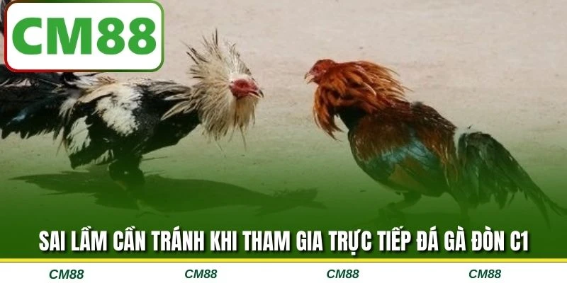 Sai lầm cần tránh khi tham gia trực tiếp đá gà đòn C1